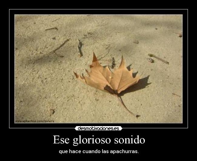 Ese glorioso sonido -