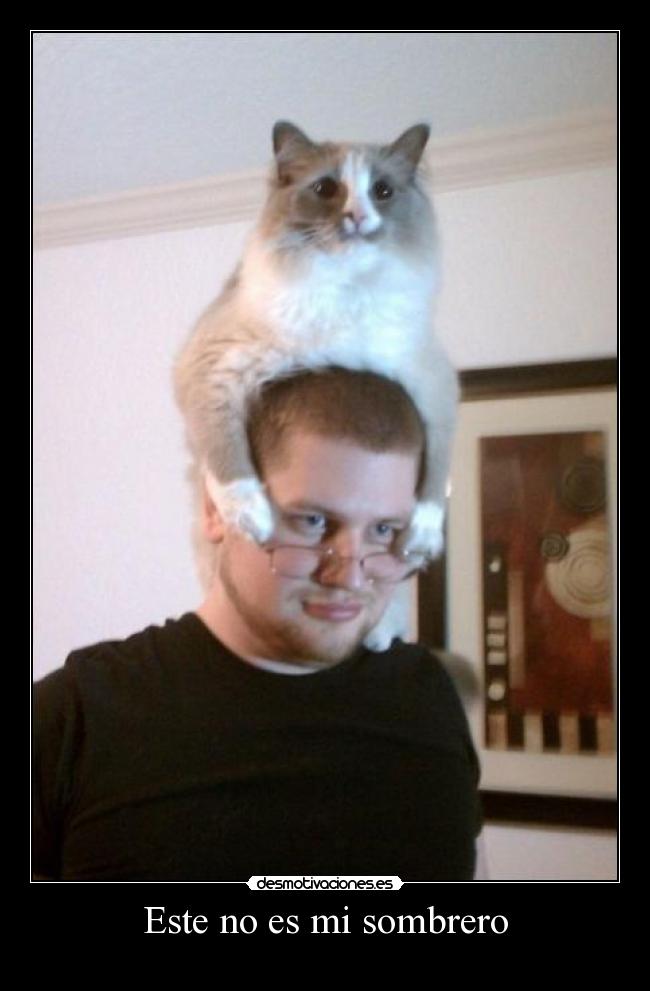 Este no es mi sombrero - 