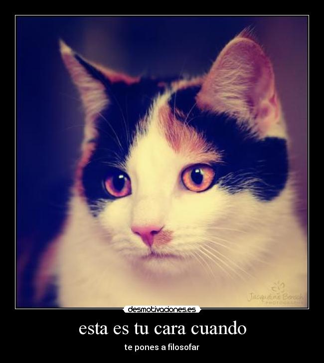 esta es tu cara cuando - te pones a filosofar