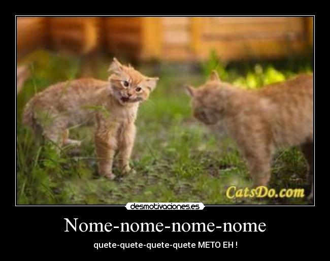Nome-nome-nome-nome - quete-quete-quete-quete METO EH !