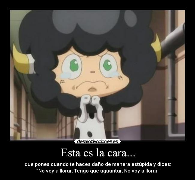 Esta es la cara... -
