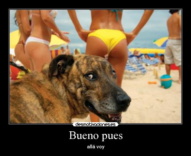 Bueno pues - 