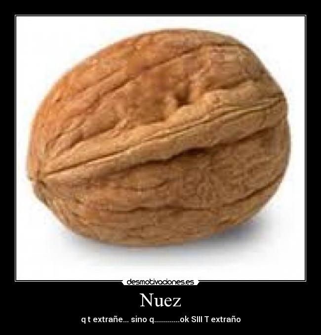 Nuez - q t extrañe... sino q.............ok SIII T extraño