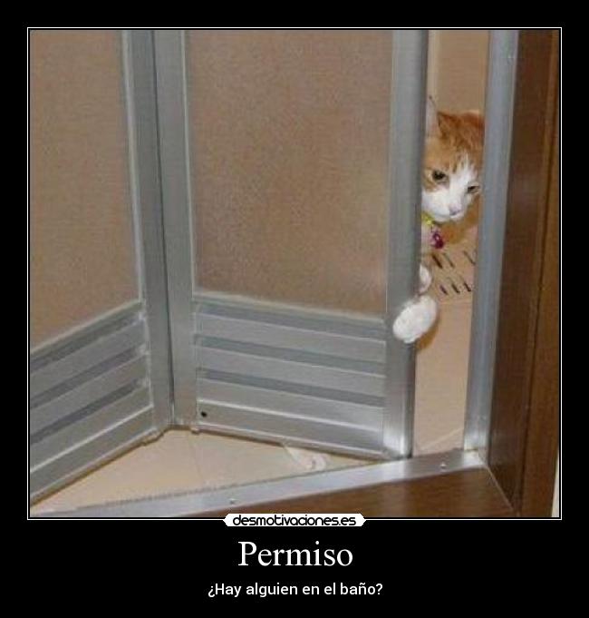Permiso - 