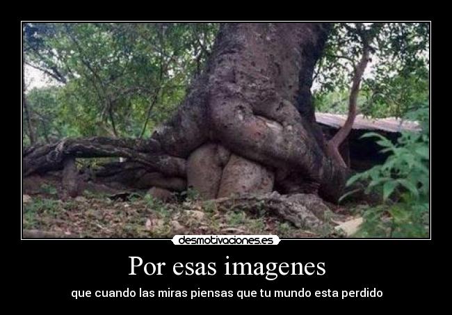 Por esas imagenes - que cuando las miras piensas que tu mundo esta perdido