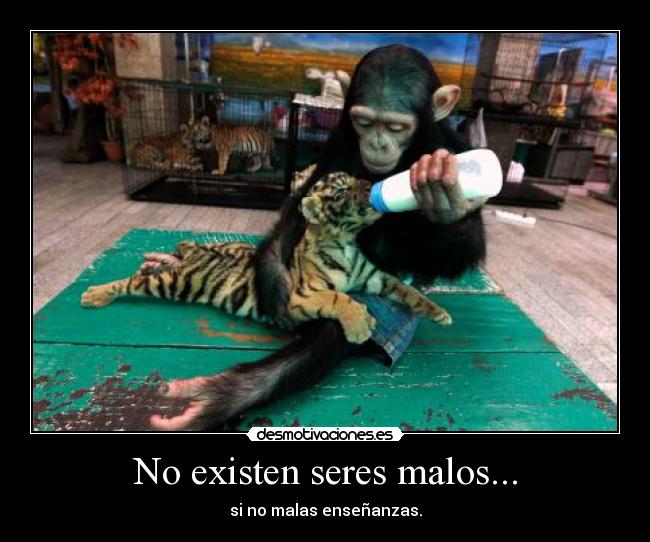 No existen seres malos... - si no malas enseñanzas.