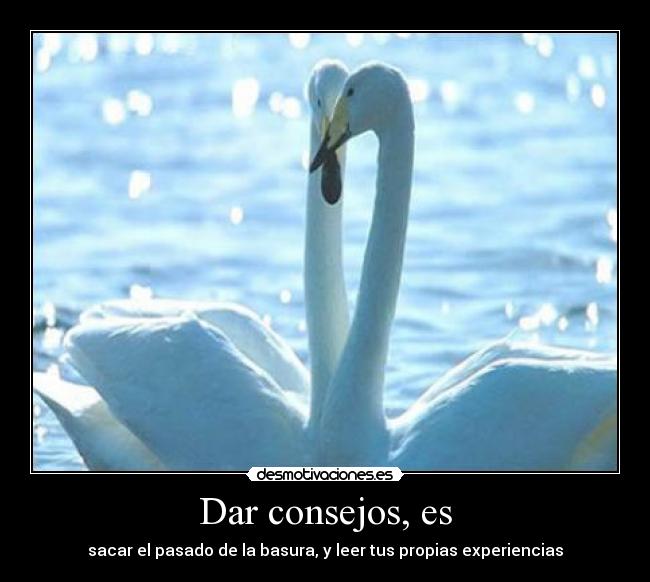 Dar consejos, es - sacar el pasado de la basura, y leer tus propias experiencias