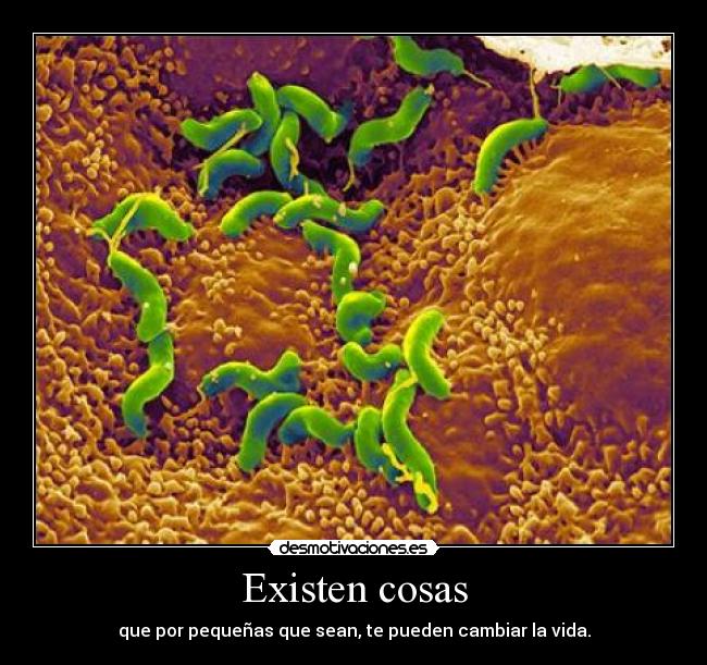 carteles cambiar vida desmotivaciones