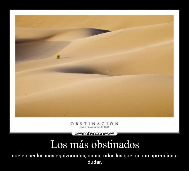 Los más obstinados -