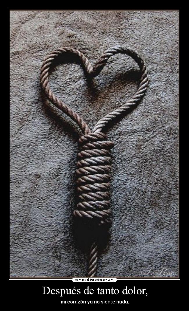 Después de tanto dolor, - mi corazón ya no siente nada.