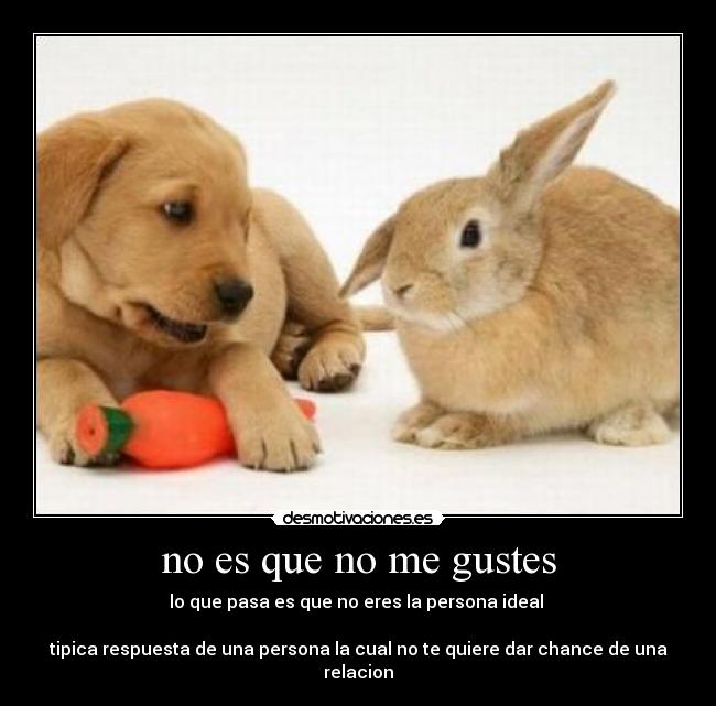 no es que no me gustes -