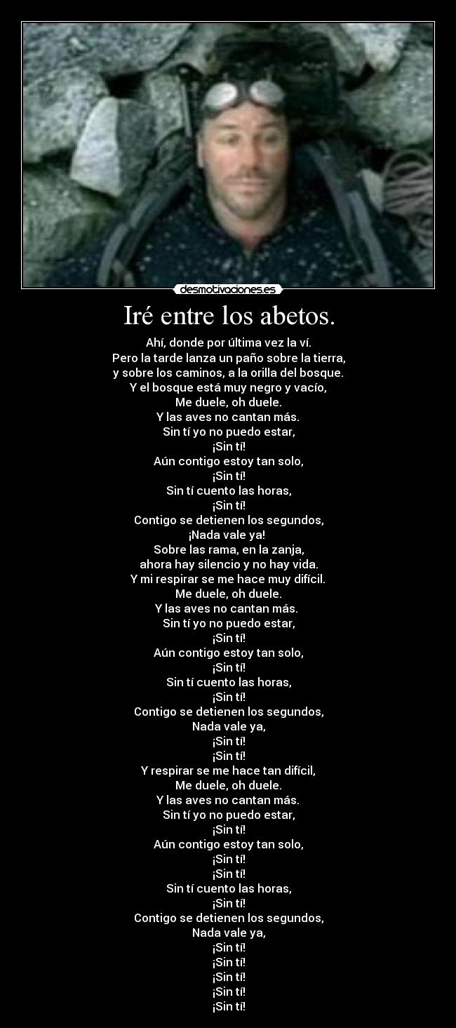 Iré entre los abetos. - Ahí, donde por última vez la ví.
Pero la tarde lanza un paño sobre la tierra,
y sobre los caminos, a la orilla del bosque.
Y el bosque está muy negro y vacío,
Me duele, oh duele.
Y las aves no cantan más.
Sin tí yo no puedo estar,
¡Sin tí!
Aún contigo estoy tan solo,
¡Sin tí!
Sin tí cuento las horas,
¡Sin tí!
Contigo se detienen los segundos,
¡Nada vale ya! 
Sobre las rama, en la zanja,
ahora hay silencio y no hay vida.
Y mi respirar se me hace muy difícil.
Me duele, oh duele.
Y las aves no cantan más. 
Sin tí yo no puedo estar,
¡Sin tí!
Aún contigo estoy tan solo,
¡Sin tí!
Sin tí cuento las horas,
¡Sin tí!
Contigo se detienen los segundos,
Nada vale ya,
¡Sin tí!
¡Sin tí!
Y respirar se me hace tan difícil,
Me duele, oh duele.
Y las aves no cantan más.
Sin tí yo no puedo estar,
¡Sin tí!
Aún contigo estoy tan solo,
¡Sin tí!
¡Sin tí!
Sin tí cuento las horas,
¡Sin tí!
Contigo se detienen los segundos,
Nada vale ya,
¡Sin tí!
¡Sin tí!
¡Sin tí!
¡Sin tí!
¡Sin tí!