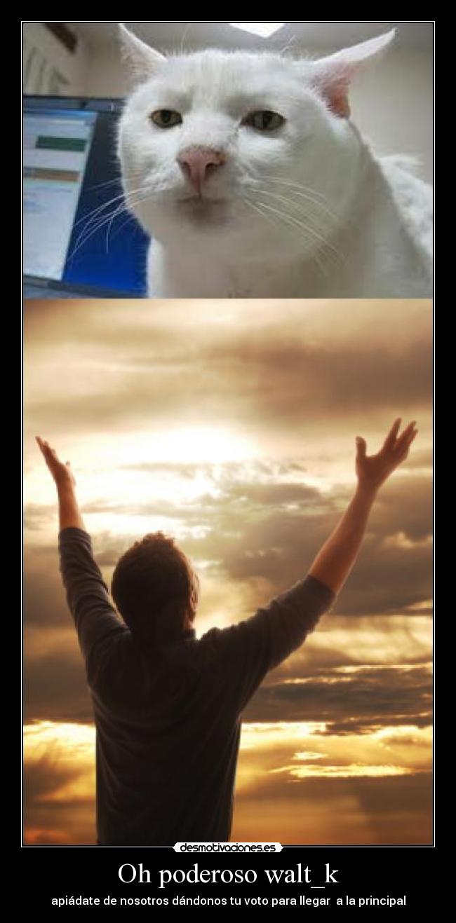 Oh poderoso walt_k -