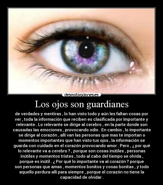 Los ojos son guardianes - de verdades y mentiras , lo han visto todo y aún les faltan cosas por
ver , toda la información que reciben es clasificada por Importante y
relevante . Lo relevante se dirige al cerebro , en la parte donde son
causadas las emociones , provocando odio . En cambio , lo importante
se dirige al corazón , allí van las personas que mas te importan o
momentos importantes que han visto tus ojos , la información se
guarda con cuidado en el corazón provocando amor . Pero , ¿ por qué
lo relevante va a cerebro ? , porque son cosas inútiles , personas
inútiles y momentos tristes , todo al cabo del tiempo se olvida ,
porque es inútil . ¿ Por qué lo importante va al corazón ? porque
son personas que amas , momentos bonitos y cosas bonitas , y todo
aquello perdura allí para siempre , porque el corazón no tiene la
capacidad de olvidar .
