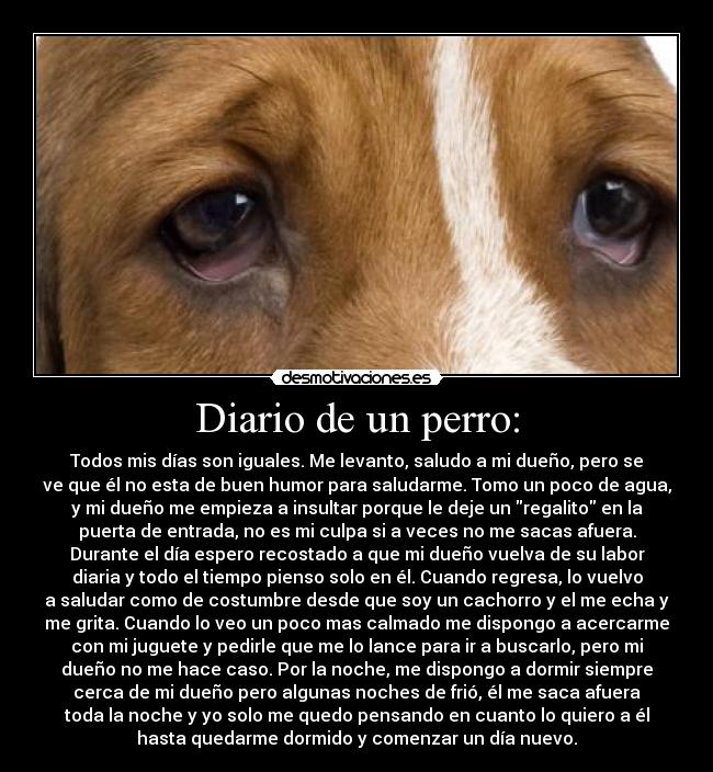 Diario de un perro: - Todos mis días son iguales. Me levanto, saludo a mi dueño, pero se
ve que él no esta de buen humor para saludarme. Tomo un poco de agua,
y mi dueño me empieza a insultar porque le deje un regalito en la
puerta de entrada, no es mi culpa si a veces no me sacas afuera.
Durante el día espero recostado a que mi dueño vuelva de su labor
diaria y todo el tiempo pienso solo en él. Cuando regresa, lo vuelvo
a saludar como de costumbre desde que soy un cachorro y el me echa y
me grita. Cuando lo veo un poco mas calmado me dispongo a acercarme
con mi juguete y pedirle que me lo lance para ir a buscarlo, pero mi
dueño no me hace caso. Por la noche, me dispongo a dormir siempre
cerca de mi dueño pero algunas noches de frió, él me saca afuera
toda la noche y yo solo me quedo pensando en cuanto lo quiero a él
hasta quedarme dormido y comenzar un día nuevo.
