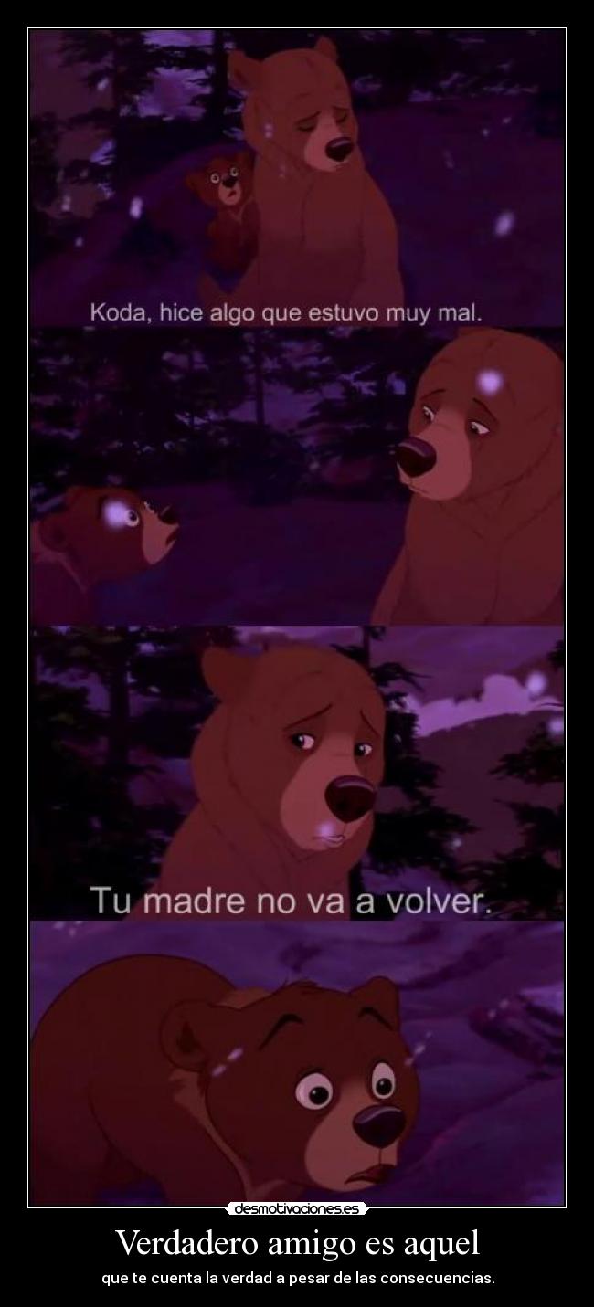 carteles sunglass desmotivaciones