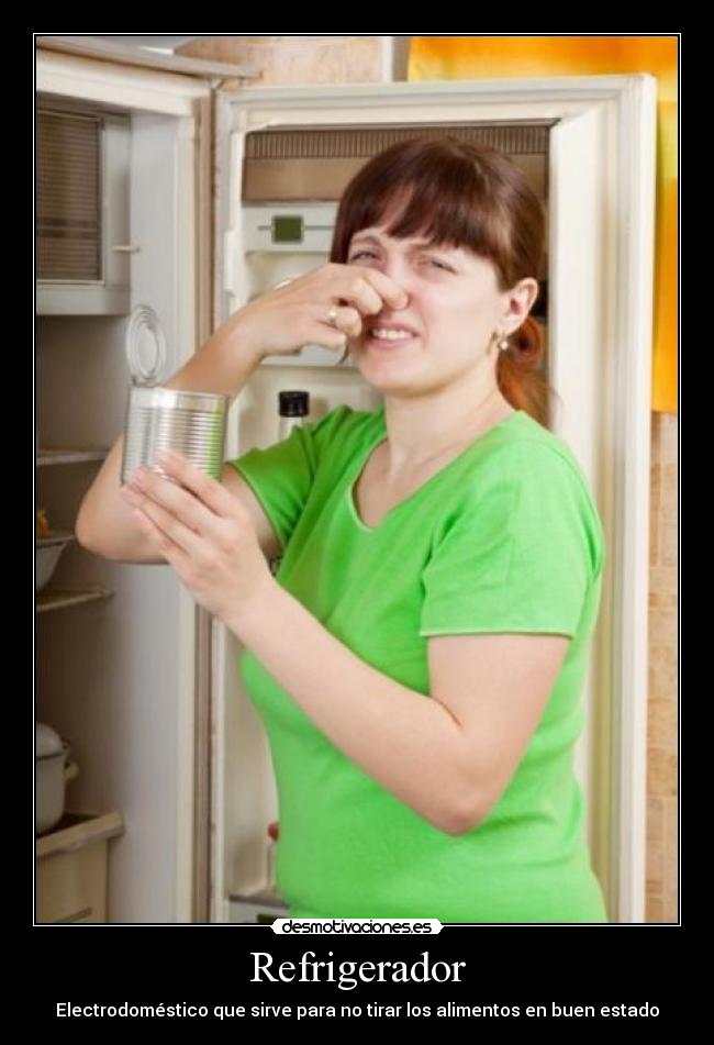 carteles refrigerador electrodomestico sirve tirar alimentos buen estado desmotivaciones