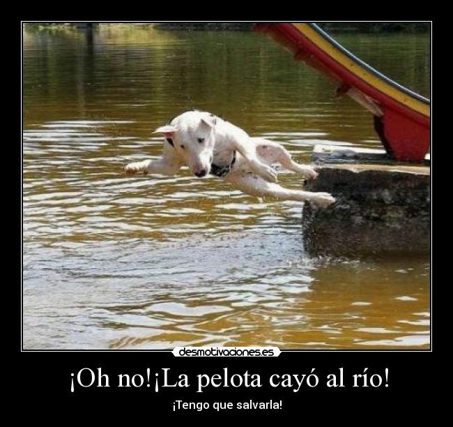 ¡Oh no!¡La pelota cayó al río! - 