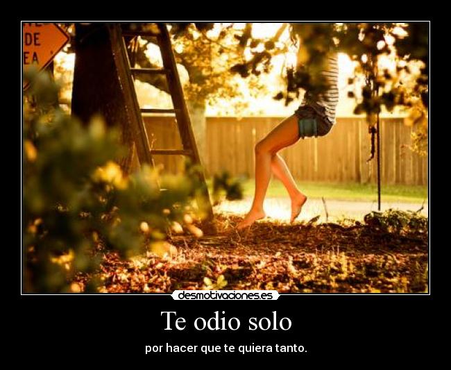 Te odio solo - por hacer que te quiera tanto.