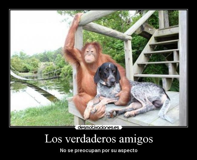 Los verdaderos amigos - No se preocupan por su aspecto