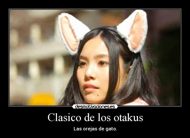 Clasico de los otakus - Las orejas de gato.