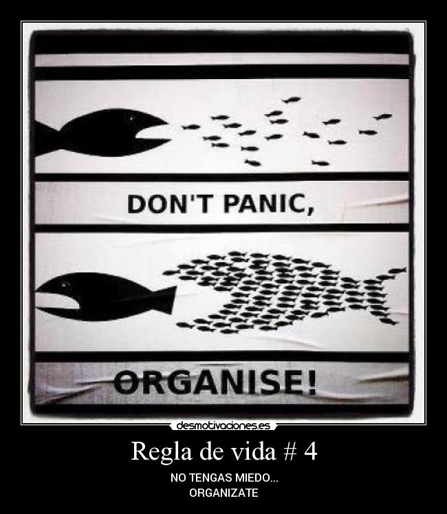 Regla de vida # 4 - 