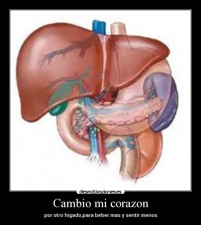 Cambio mi corazon - por otro higado,para beber mas y sentir menos