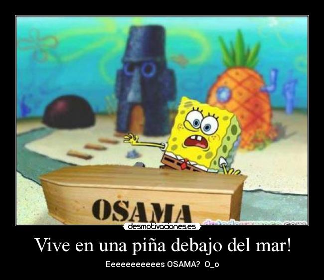 Vive en una piña debajo del mar! -