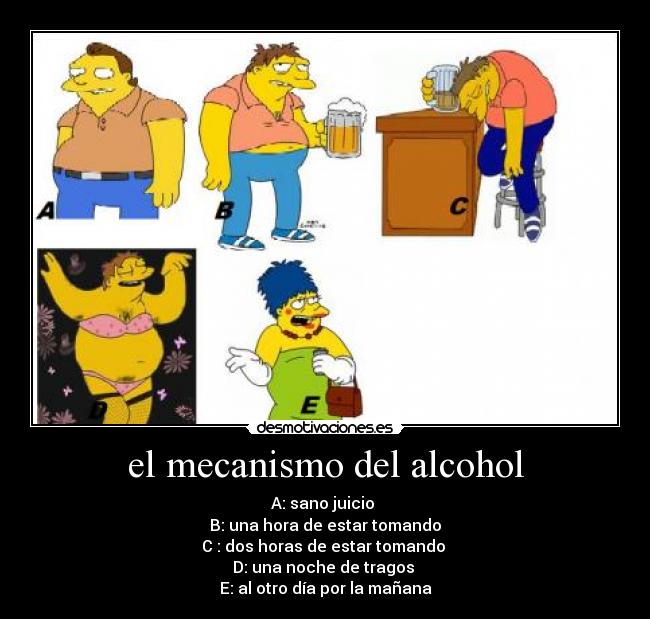 el mecanismo del alcohol - A: sano juicio
B: una hora de estar tomando
C : dos horas de estar tomando
D: una noche de tragos
E: al otro día por la mañana