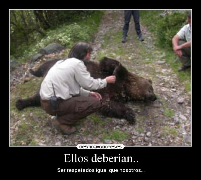 Ellos deberían.. -
