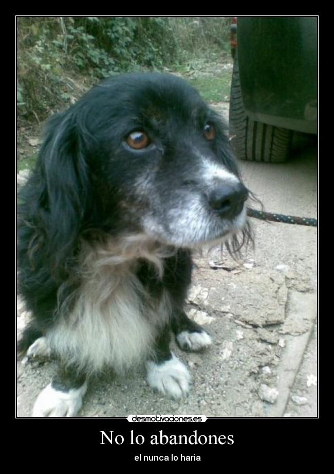 No lo abandones -