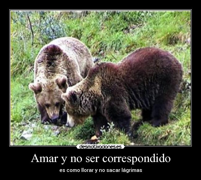 Amar y no ser correspondido - es como llorar y no sacar lágrimas