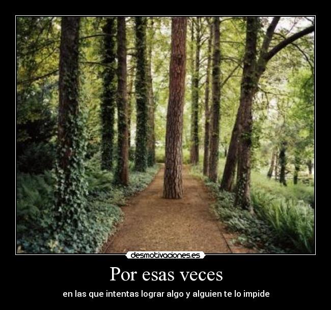 Por esas veces - en las que intentas lograr algo y alguien te lo impide