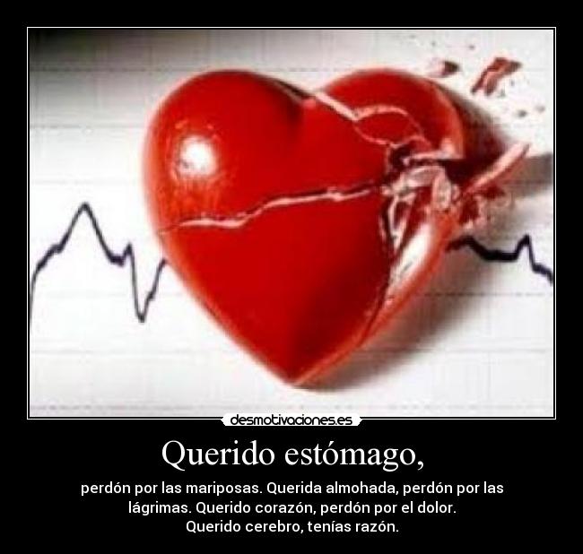 Querido estómago, - perdón por las mariposas. Querida almohada, perdón por las
lágrimas. Querido corazón, perdón por el dolor.
Querido cerebro, tenías razón.
