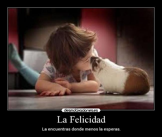 La Felicidad - 