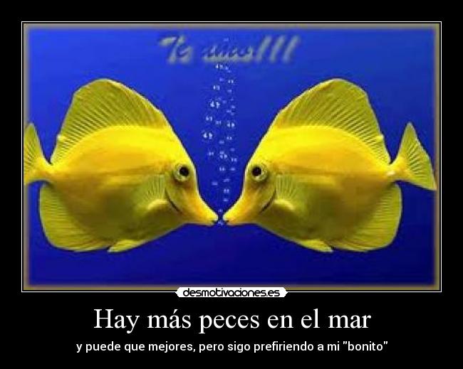 Hay más peces en el mar - y puede que mejores, pero sigo prefiriendo a mi bonito