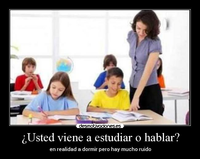 ¿Usted viene a estudiar o hablar? - en realidad a dormir pero hay mucho ruido