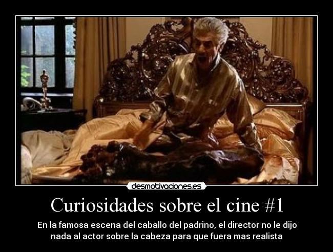 Curiosidades sobre el cine #1 - 