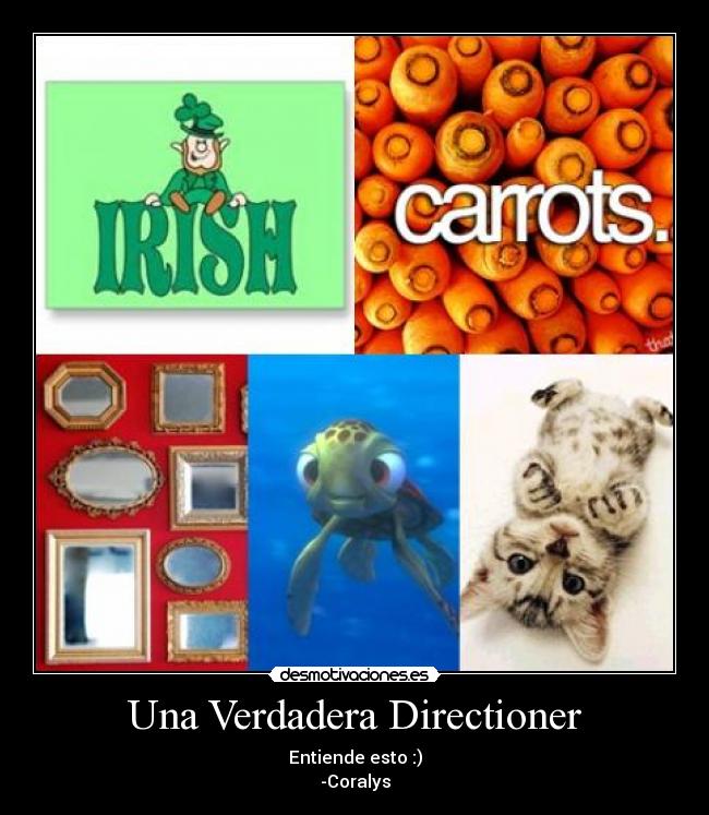 Una Verdadera Directioner - Entiende esto :)
-Coralys