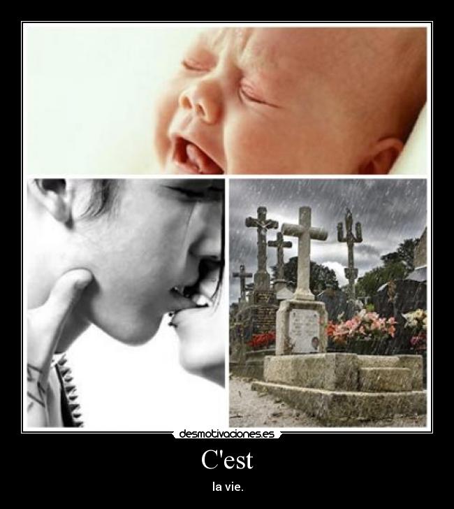 Cest - la vie.