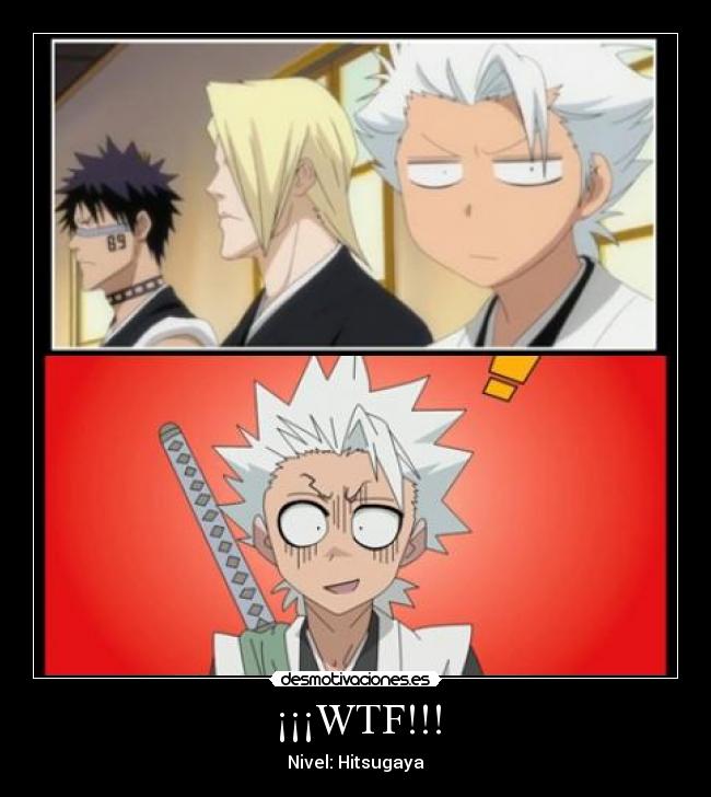 ¡¡¡WTF!!! - Nivel: Hitsugaya