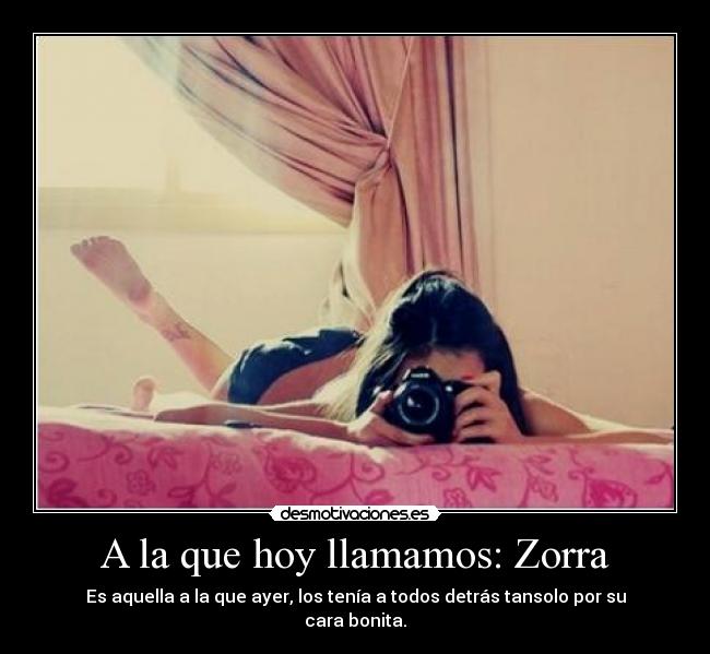 A la que hoy llamamos: Zorra -