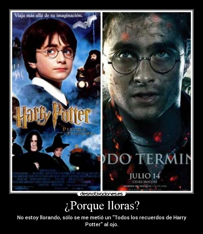 ¿Porque lloras? - No estoy llorando, sólo se me metió un Todos los recuerdos de Harry Potter al ojo.