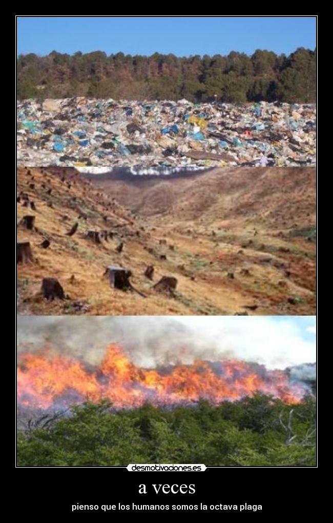a veces - pienso que los humanos somos la octava plaga