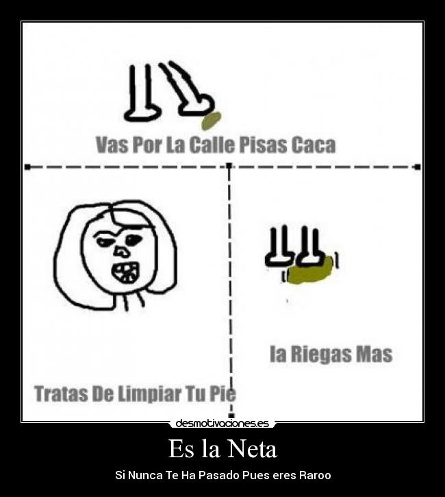Es la Neta - 
