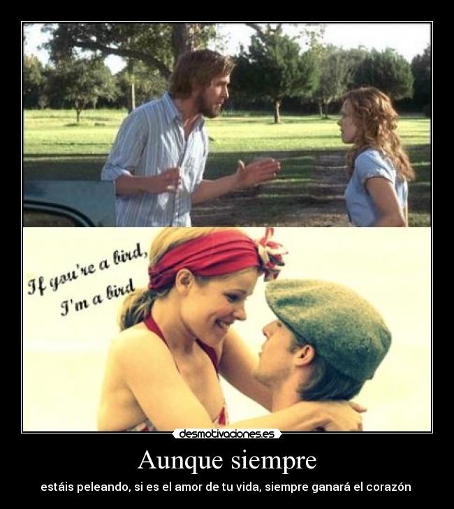 carteles noa desmotivaciones