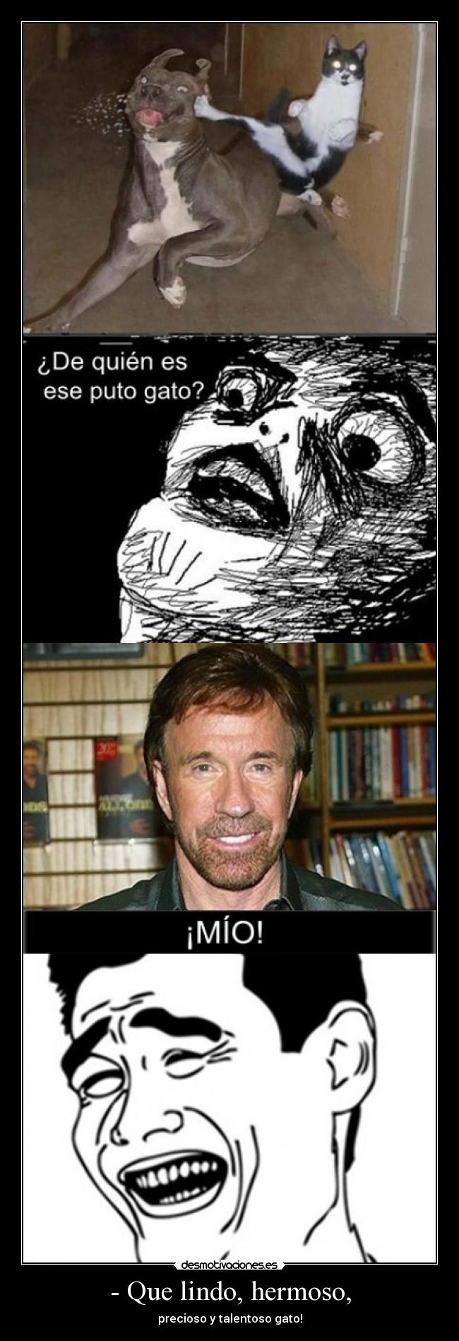 - Que lindo, hermoso, - 