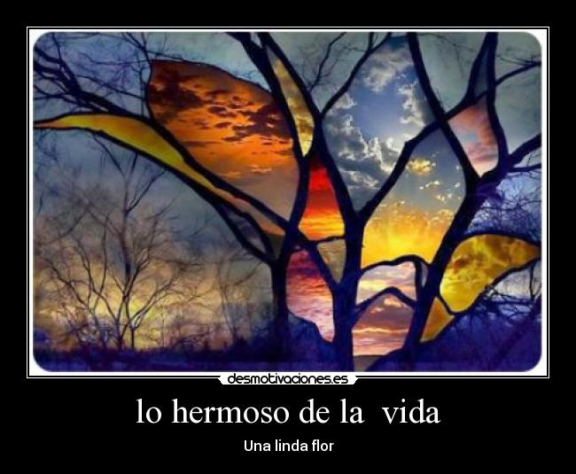 lo hermoso de la vida -