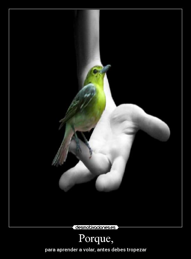 Porque, - para aprender a volar, antes debes tropezar