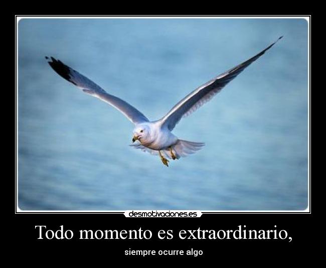 Todo momento es extraordinario, - 